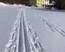 Příjezd z louky  :-)